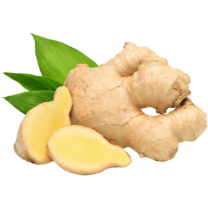 ginger dubai freshleaf uae