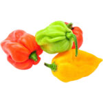 habanero chilli green freshleaf dubai uae