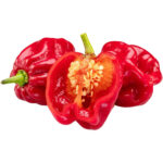 habanero chilli red freshleaf dubai uae