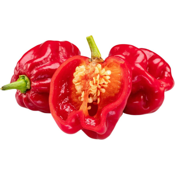 habanero chilli red freshleaf dubai uae