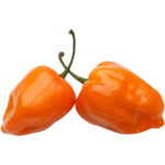 habanero-chilli-yellow-freshleaf-dubai-uae