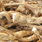 horseradish freshleaf dubai uae