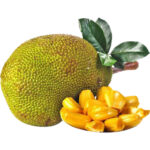 jackfruit freshleaf dubai uae