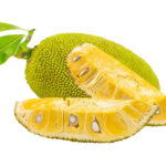 jackfruit freshleaf dubai uae