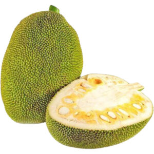 jackfruit green freshleaf dubai uae