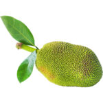 jackfruit green freshleaf dubai uae