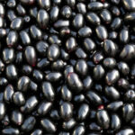 jamun fruit premium pakistani freshleaf dubai uae