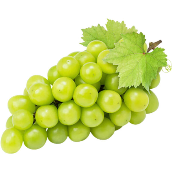 japanese grapes korean grapes freshleaf dubai uae