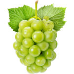 japanese grapes korean grapes freshleaf dubai uae