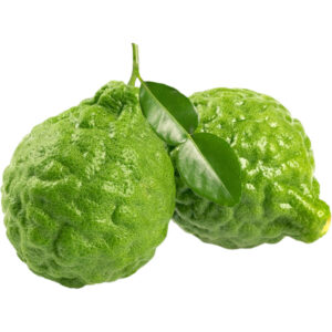 kaffir lime freshleaf dubai uae