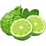 kaffir lime freshleaf dubai uae