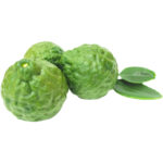 kaffir lime freshleaf dubai uae