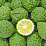 kaffir lime freshleaf dubai uae