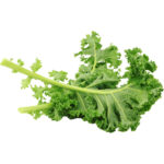 kale leaves freshleaf dubai uae