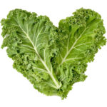 kale leaves freshleaf dubai uae