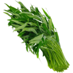 kangkong freshleaf uae