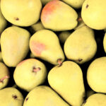 korla pears freshleaf dubai uae