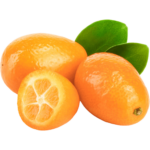 kumquat fruit freshleaf uae