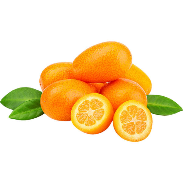 kumquats freshleaf dubai uae