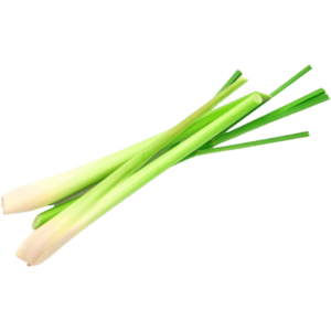 lemongrass dubai freshleaf uae