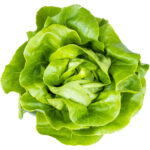 lettuce boston freshleaf dubai uae