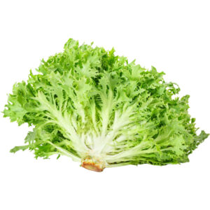 lettuce frisee green freshleaf dubai uae