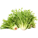 lettuce frisee green freshleaf dubai uae