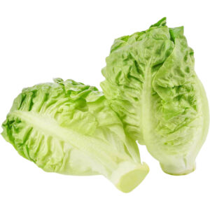 lettuce gem freshleaf dubai uae