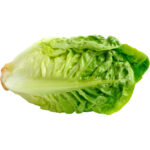 lettuce gem freshleaf dubai uae