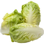 lettuce gem freshleaf dubai uae