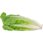 lettuce romaine freshleaf dubai uae