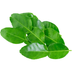 lime leaves dubai freshleaf uae