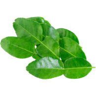lime leaves freshleaf dubai uae