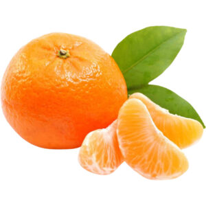 mandarin orange kinnow pakistani freshleaf dubai uae