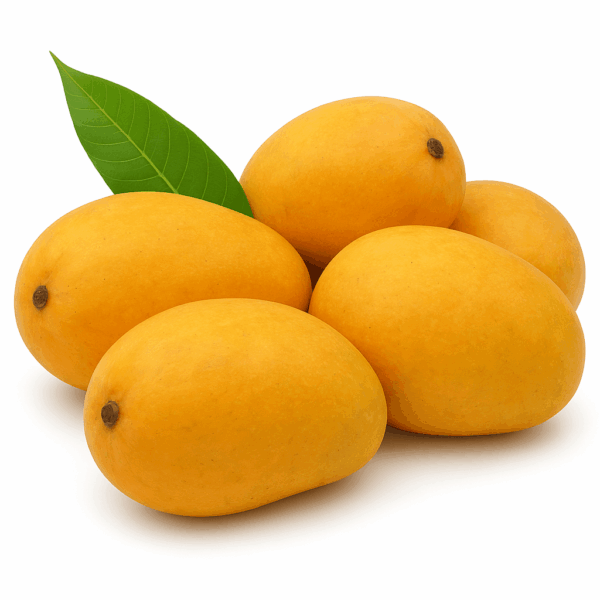 Mango Chaunsa Premium - Box