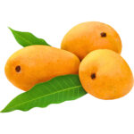 mango chaunsa premium pakistani freshleaf dubai uae