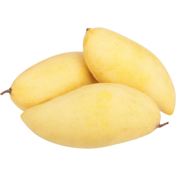 mango golden freshleaf dubai uae