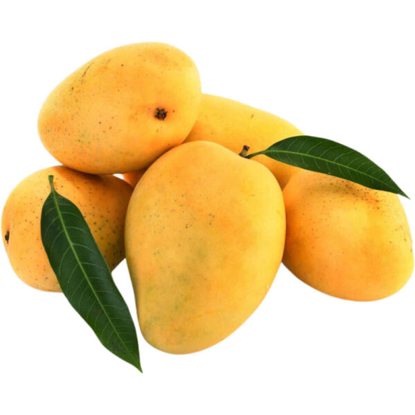 mango pakistani freshleaf dubai uae