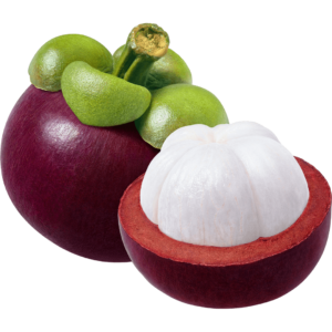 mangosteen freshleaf uae