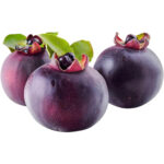 mangosteen jumbo freshleaf dubai uae