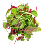 mesclun mix dubai freshleaf uae