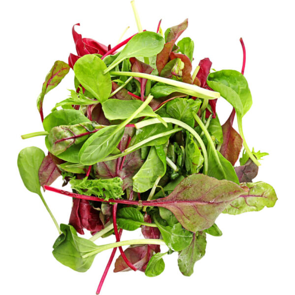 mesclun mix freshleaf dubai uae