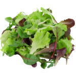 mesclun mix freshleaf dubai uae