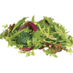 mesclun mix freshleaf dubai uae