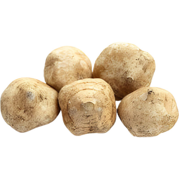 mexican turnip jicama freshleaf dubai uae