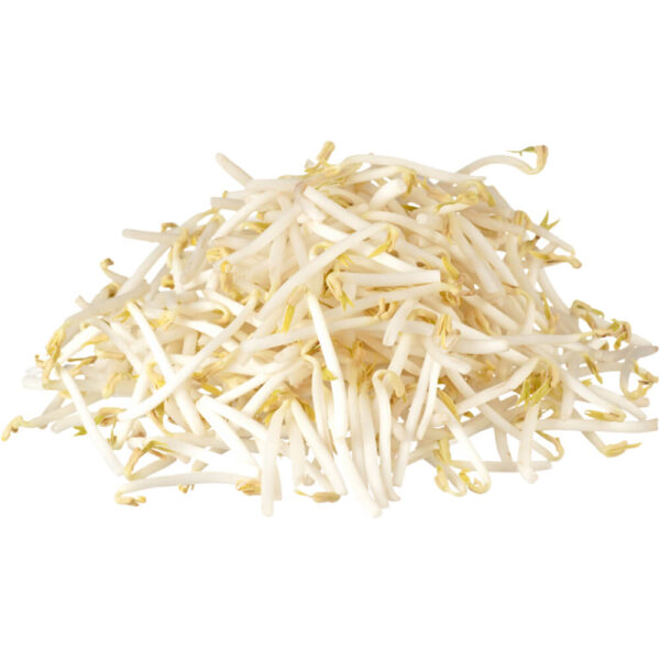 micro bean sprout freshleaf dubai uae