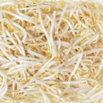 micro bean sprout freshleaf dubai uae