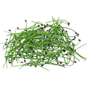 micro garlic chives freshleaf dubai uae