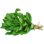 mint freshleaf dubai uae