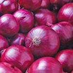 onion red freshleaf dubai uae